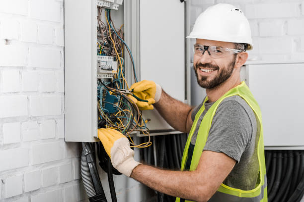 Best Licensed Electrician  in Holly, MI