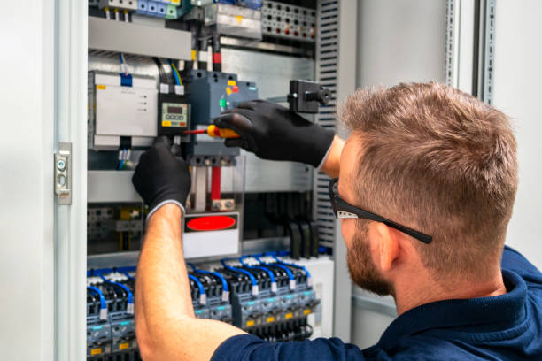 Best Emergency Electrician Near Me  in Holly, MI