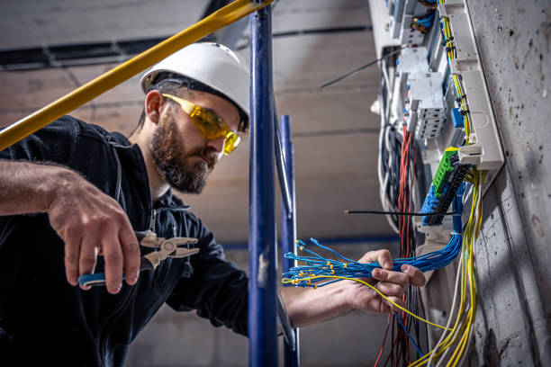 Best Electrical Upgrades for Homes  in Holly, MI