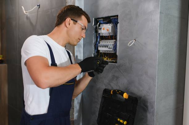 Best Electric Panel Repair  in Holly, MI