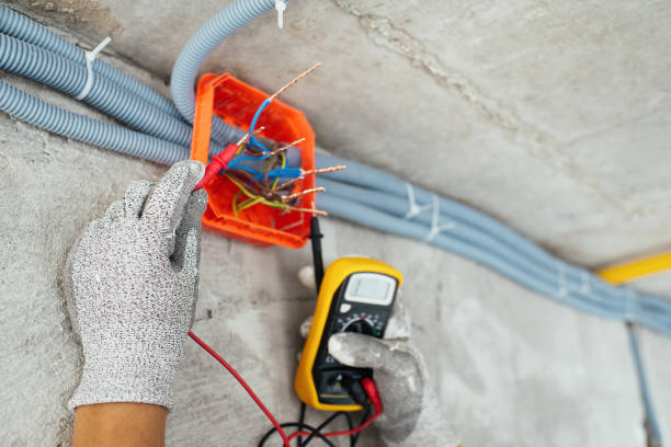 Best Electric Panel Repair  in Holly, MI